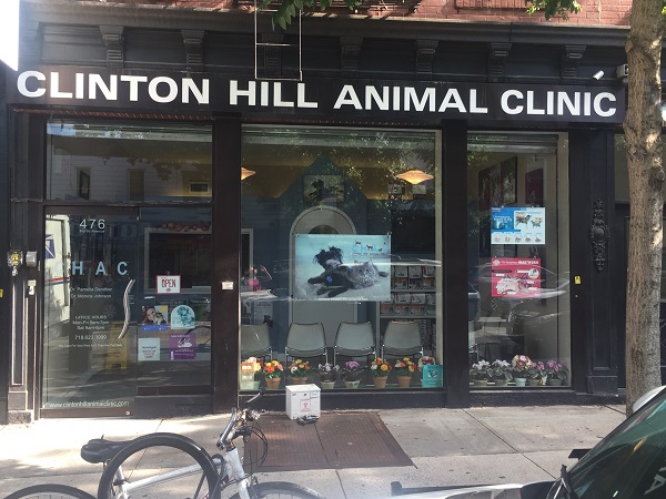 Clinton Hill Animal Clinic | Your Veterinarian in Clinton Hill, NY